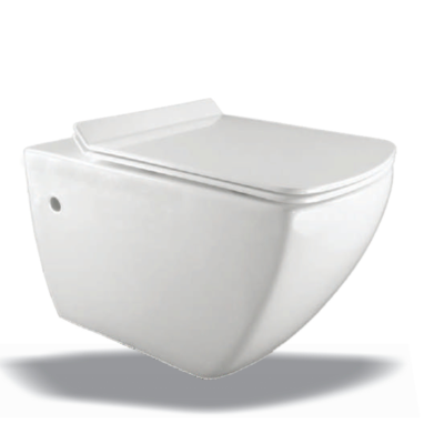 ONYX Rimless wall hung WC bowl escorted by mega slim slow close seat